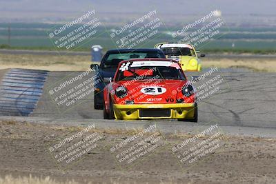 media/May-03-2024-PCA Central Coast (Fri) [[eaa7da0ee1]]/Red Group/Session 1 (Grapevine)/